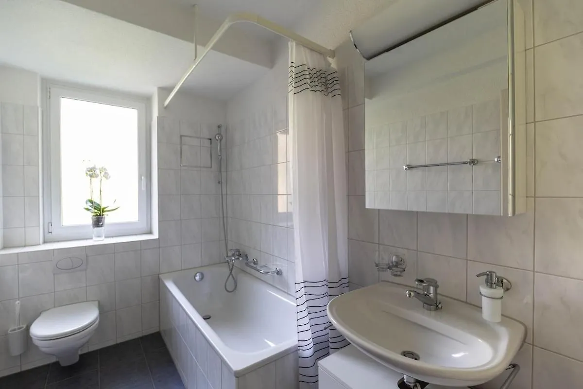 Bright One Bedroom Flat - Parkview 1 Zurich 0*,